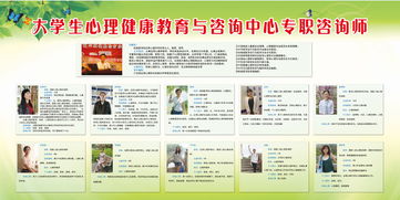 大学生心理健康教育与咨询中心专职咨询师